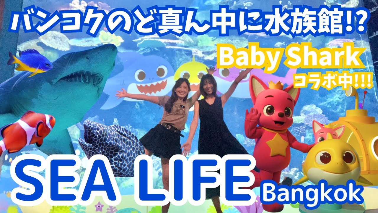 [タイ・バンコク] SIAM PARAGONのSEA LIFEがBaby Sharkとコラボ中！(2025年9月いっぱいまで)大人も楽しめる水族館体験🦈