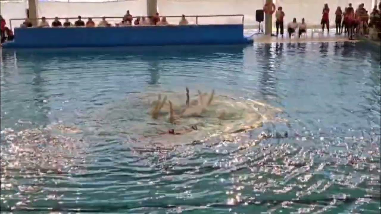 SincroSevilla alevín campeonas de españa Pontevedra 2026