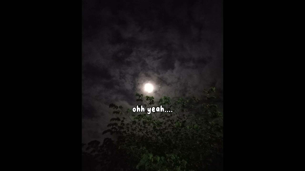 NRC - Bulan terang di holandia (vidio lirik)