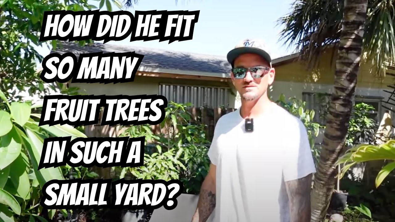See How Many Fruit Trees He Fit In His Small Yard