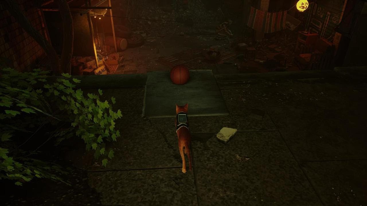 Stray - All sheet music.