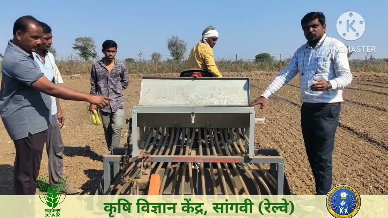 तीळ लागवड तंत्रज्ञान/sesame sowing technique #kvk #krishi#sesame #kvk, sangvi Rly