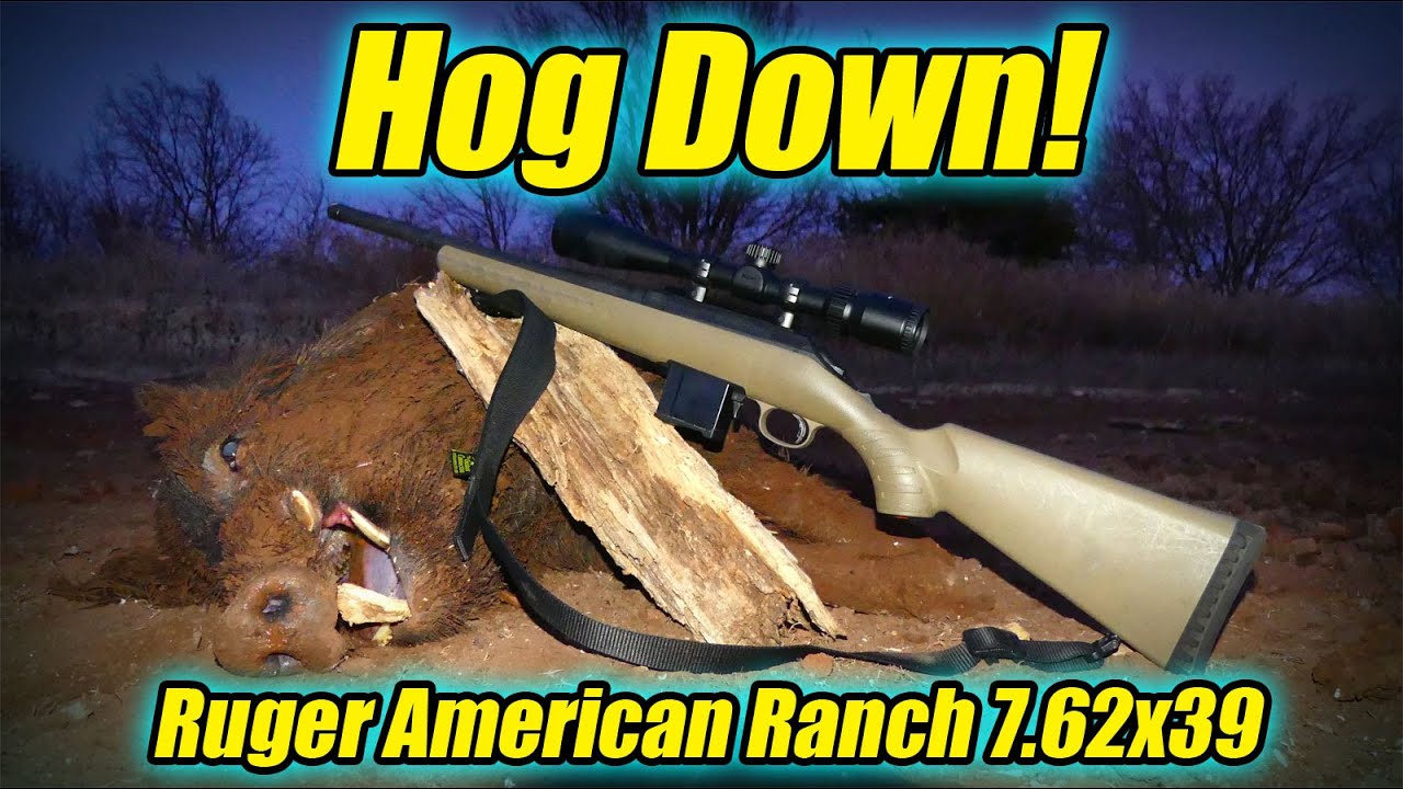 Hog Hunting with the Ruger American Ranch 7.62x39!
