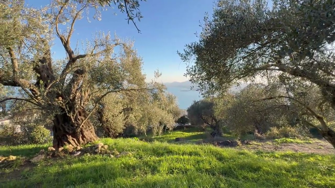 3 Buildable Plots with Panoramic Views in Spartilas, North Corfu