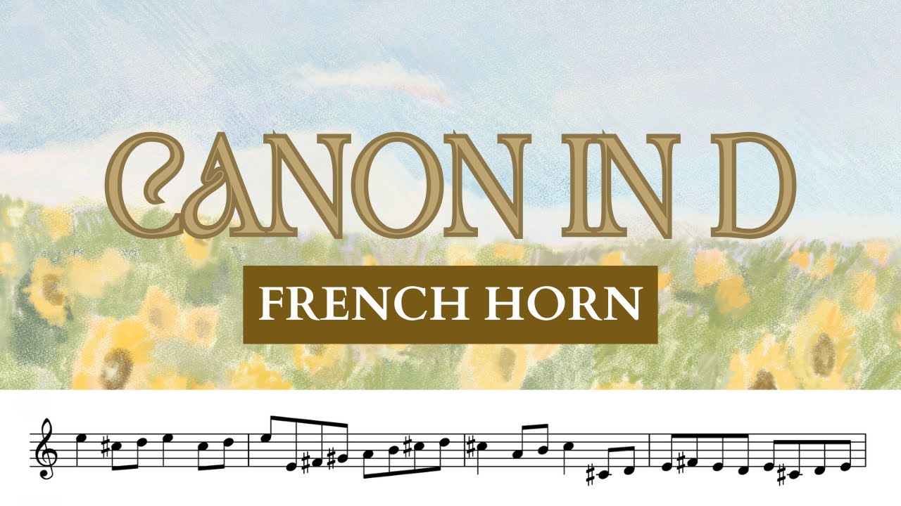 🌻 FRENCH HORN • Pachelbel Canon in D • french horn sheet music