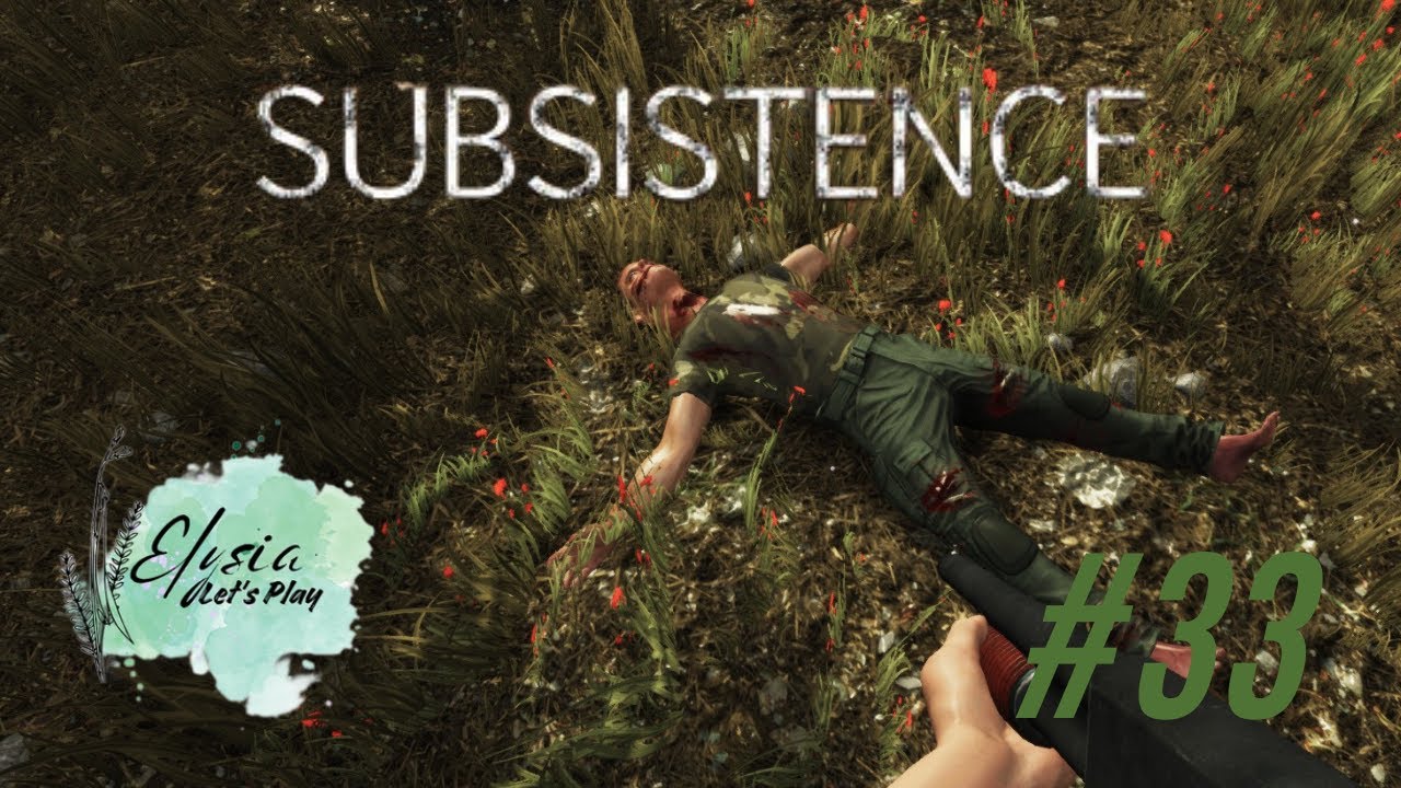 Subsistence 33 Nachbarn, nein danke