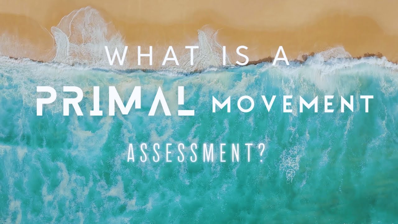 What is a Movement Assessment?