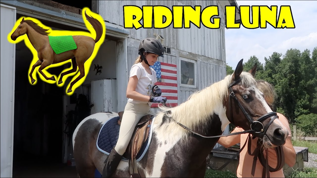 Riding Luna for the First Time 🐎 (WK 341) | Bratayley
