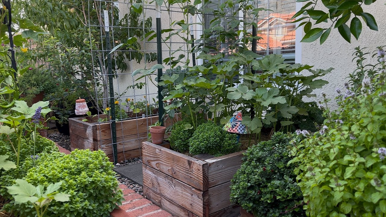 Backyard Edible Garden Tour | Homegrown Tomatoes, Chilis & Herbs!