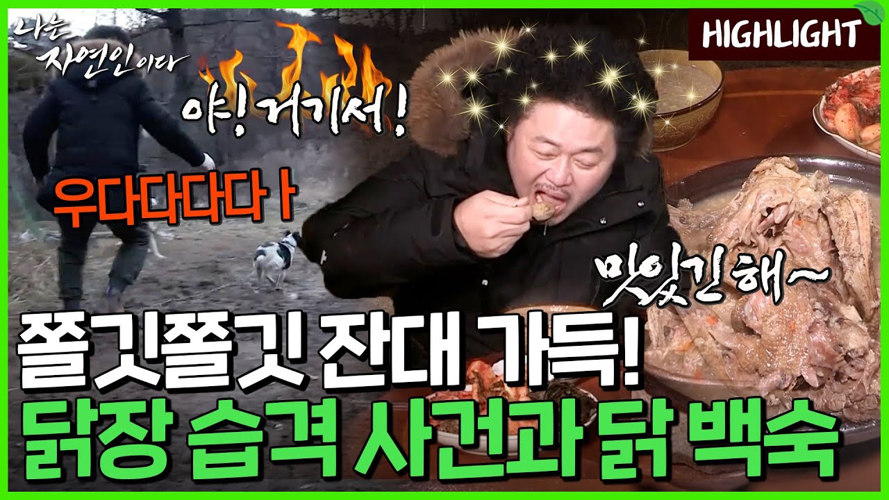 개들 덕분에 본의 아니게 수혜를 입게 된 윤택과 자연인?!｜자연인 하이라이트 483회