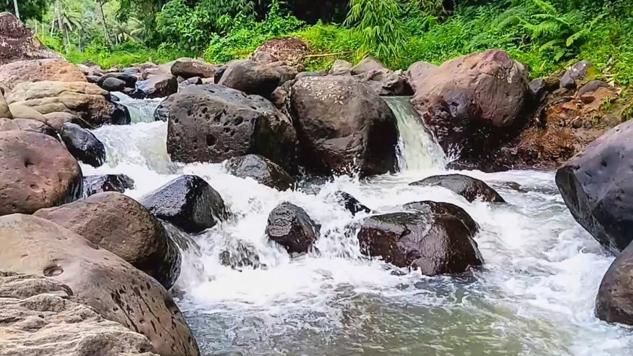 Tropical Rainforest River Sound Effect for Deep Sleep and Calm Running Water Meditation