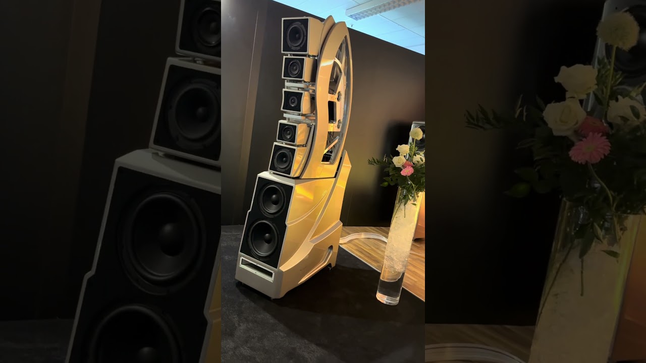 Wilson Audio & Dan D&rsquo;agostino 🔥🔊 #loudspeaker #bass #highendaudio #audiophile #loudspeakers