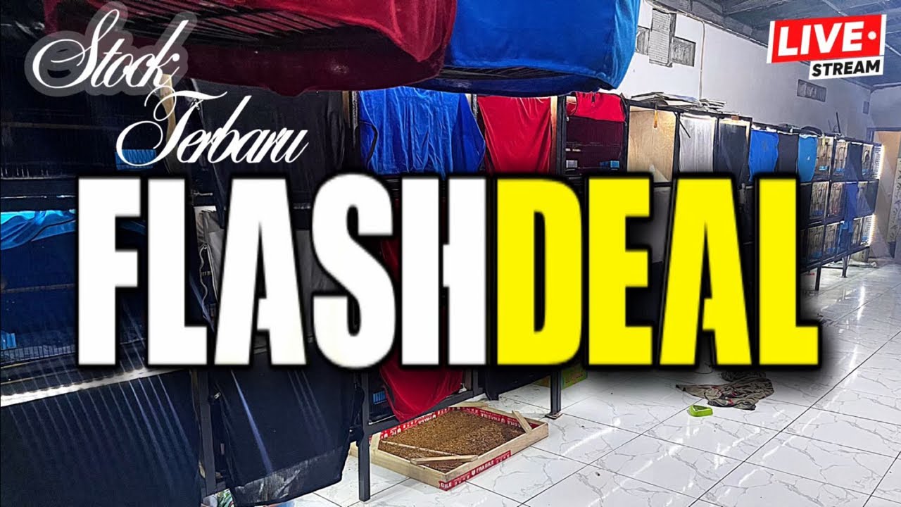 Review stok trotol koleksi bos idoy🥳