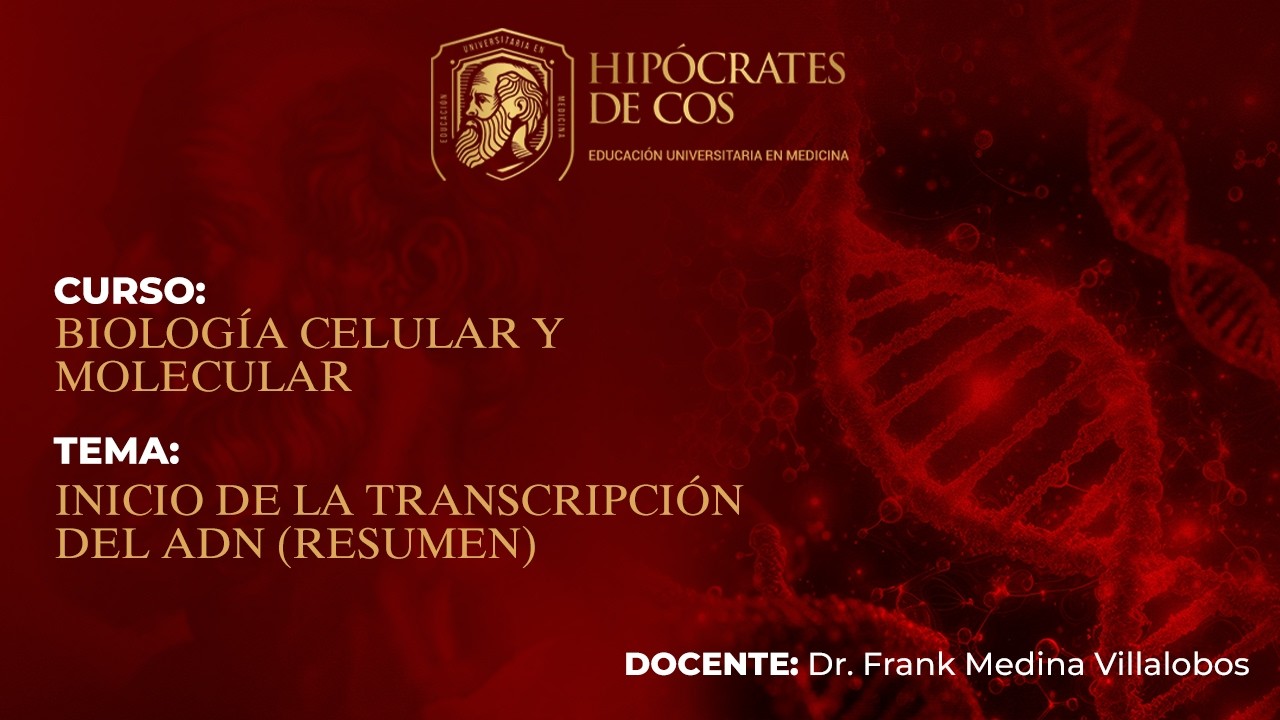 Inicio de la Transcripción del ADN |  Clase Magistral de Medicina