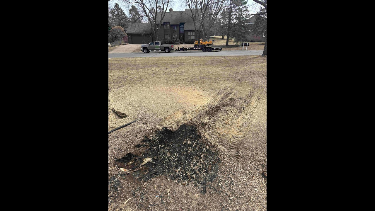 Carlton 7015 Stump Grinder