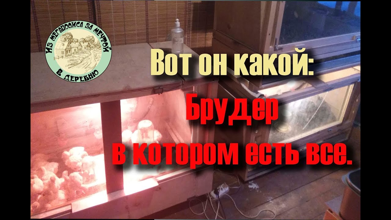 Брудер мечты 🛠 своими руками 💡