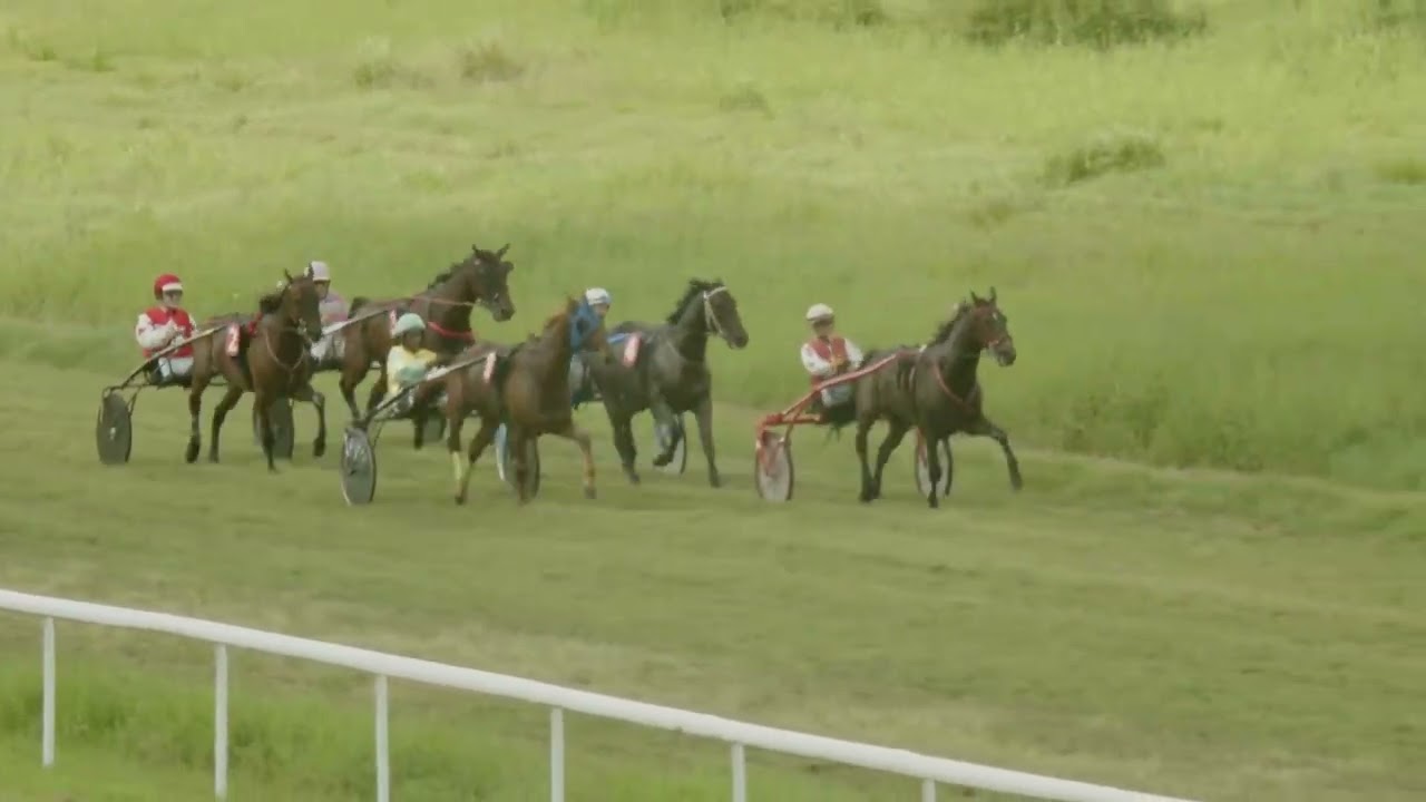 C1 PRIX DE LA MONTAGNE PELEE 11/01/25