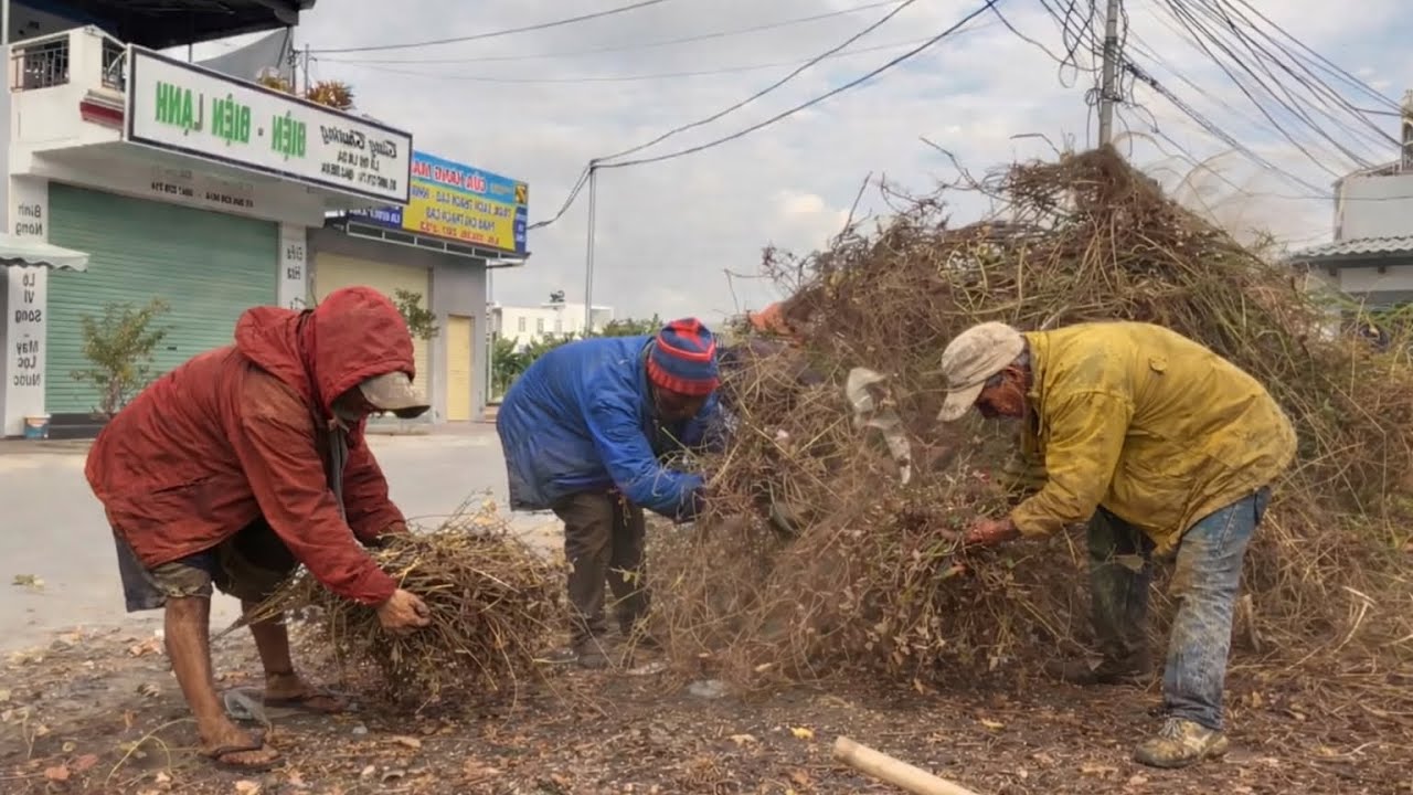 😱 Shocking Cleanup: Working with a Homeless Man to Transform a Sidewalk Disaster.