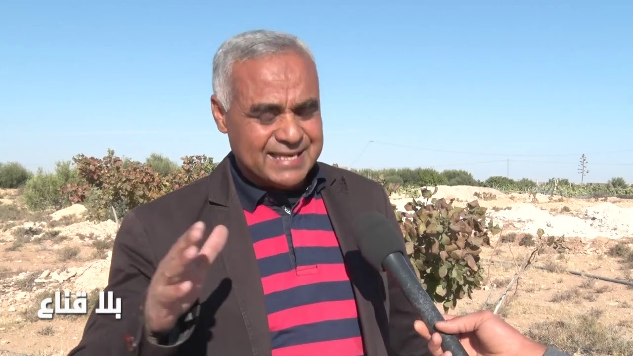 bila kinaa |زرعوا الفسدق و اللوز و الزيتون فقطعوا عنهم الماء..الفلاحة في ماجل بلعباس