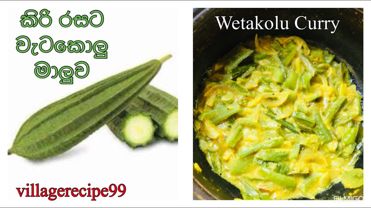 ✅වැටකොළු කිරට හැදුවොත් කවුරුත් නොකා ඉන්නෙ නෑ🫰/Ridge Gourd Curry Recipe/WETAKOLU MALUWA