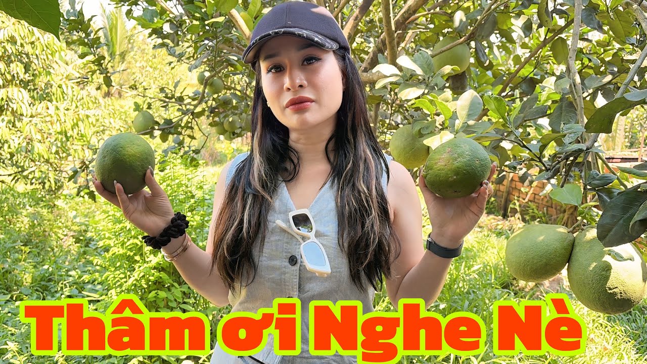 Hồng Ni Thẳng Thắng Nhắn Gửi B và Chị DV Trưa Nay