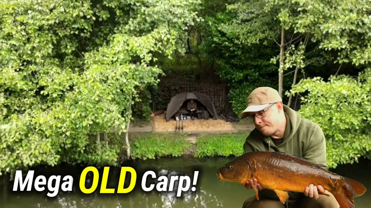 Carp Fishing & BIG catfish! Devine Fisheries