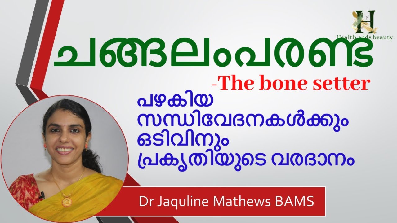 changalamparanda | ചങ്ങലംപരണ്ട| Bone setter | Dr Jaquline