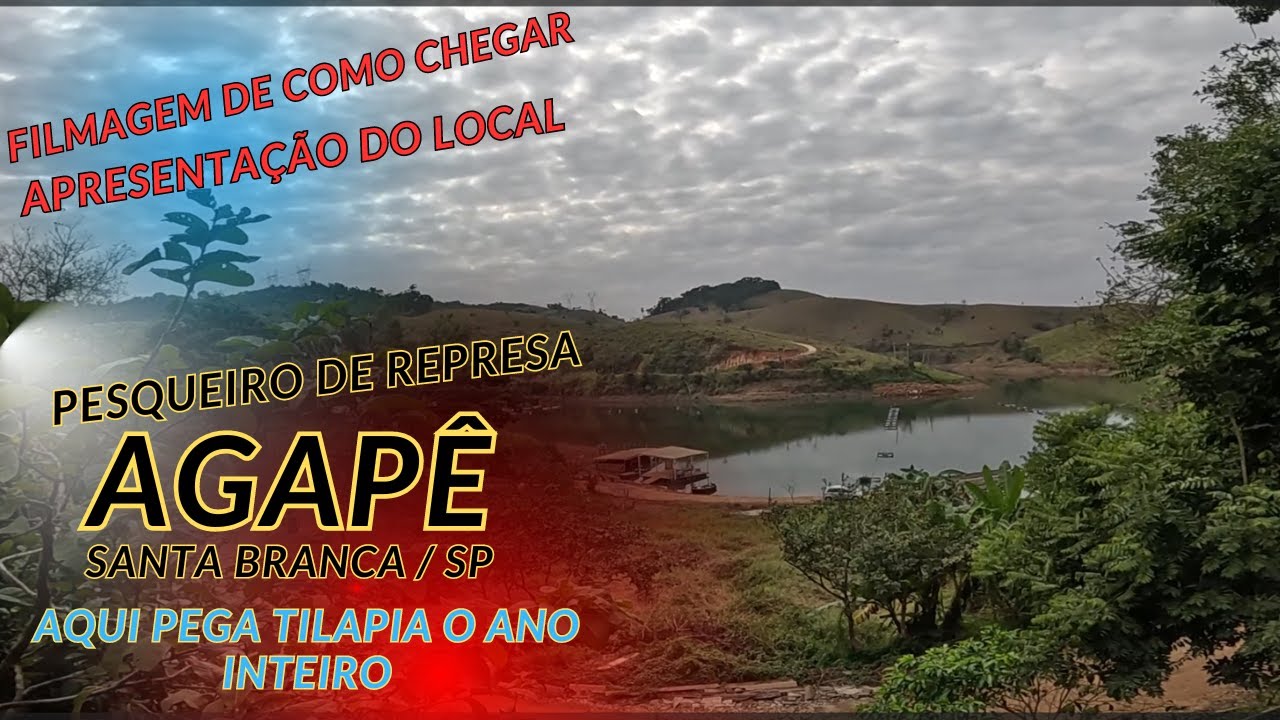 o ninho das tilapias fica aqui, em santa branca! tilapia o ano todo