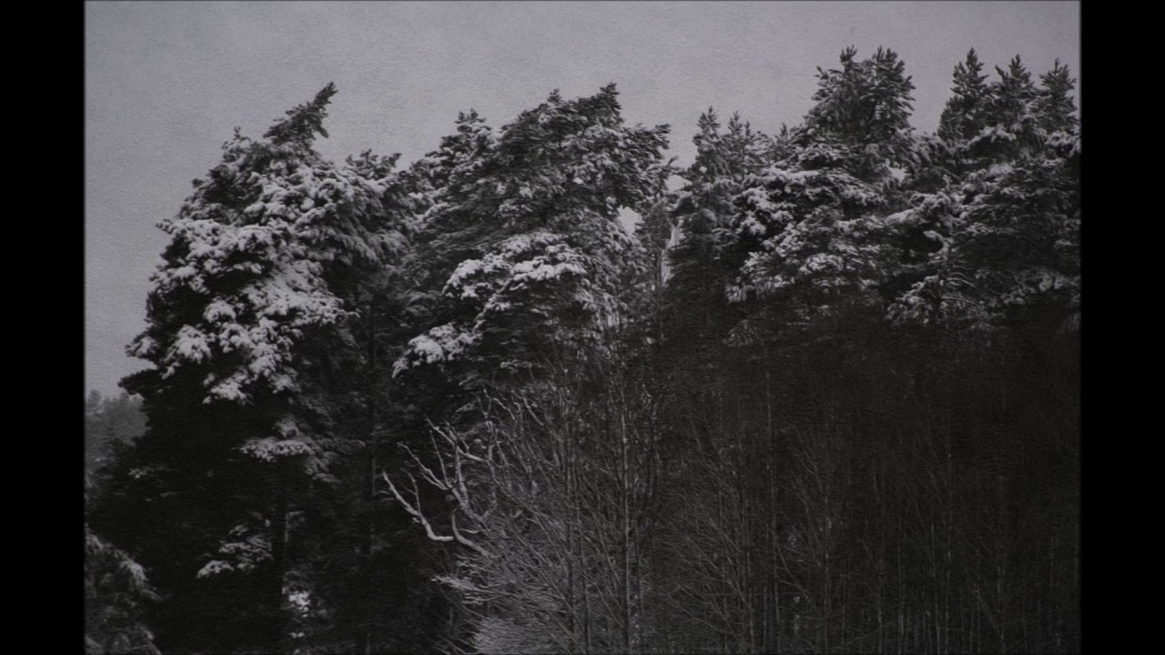 D&eacute;faillance - Misanthropique