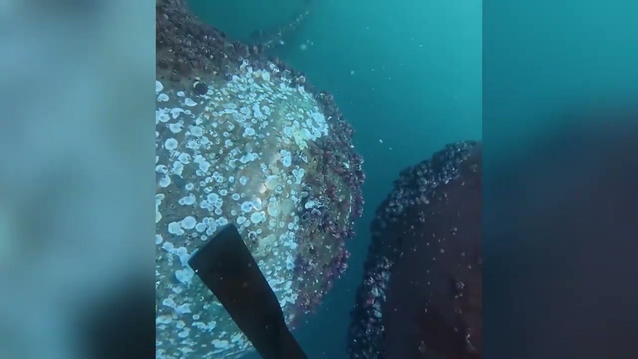Removing Barnacles from Ship Propeller Underwater