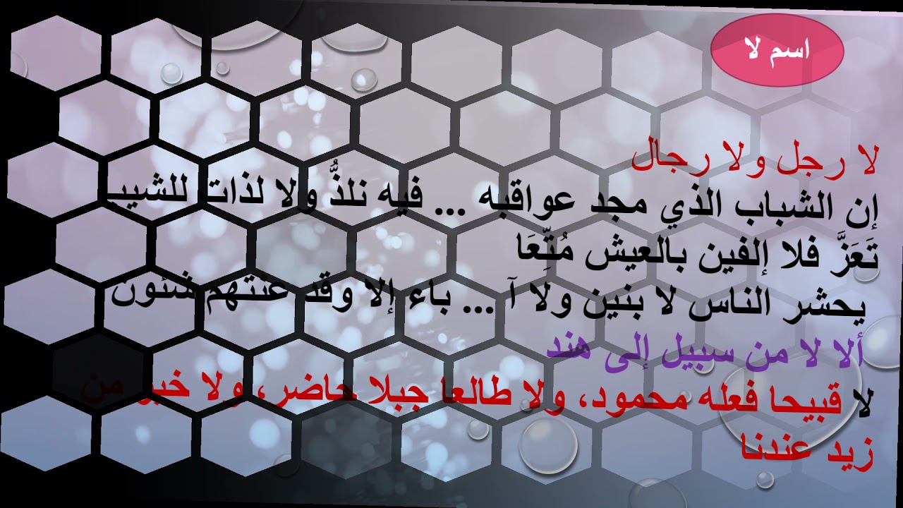 لا النافية للجنس