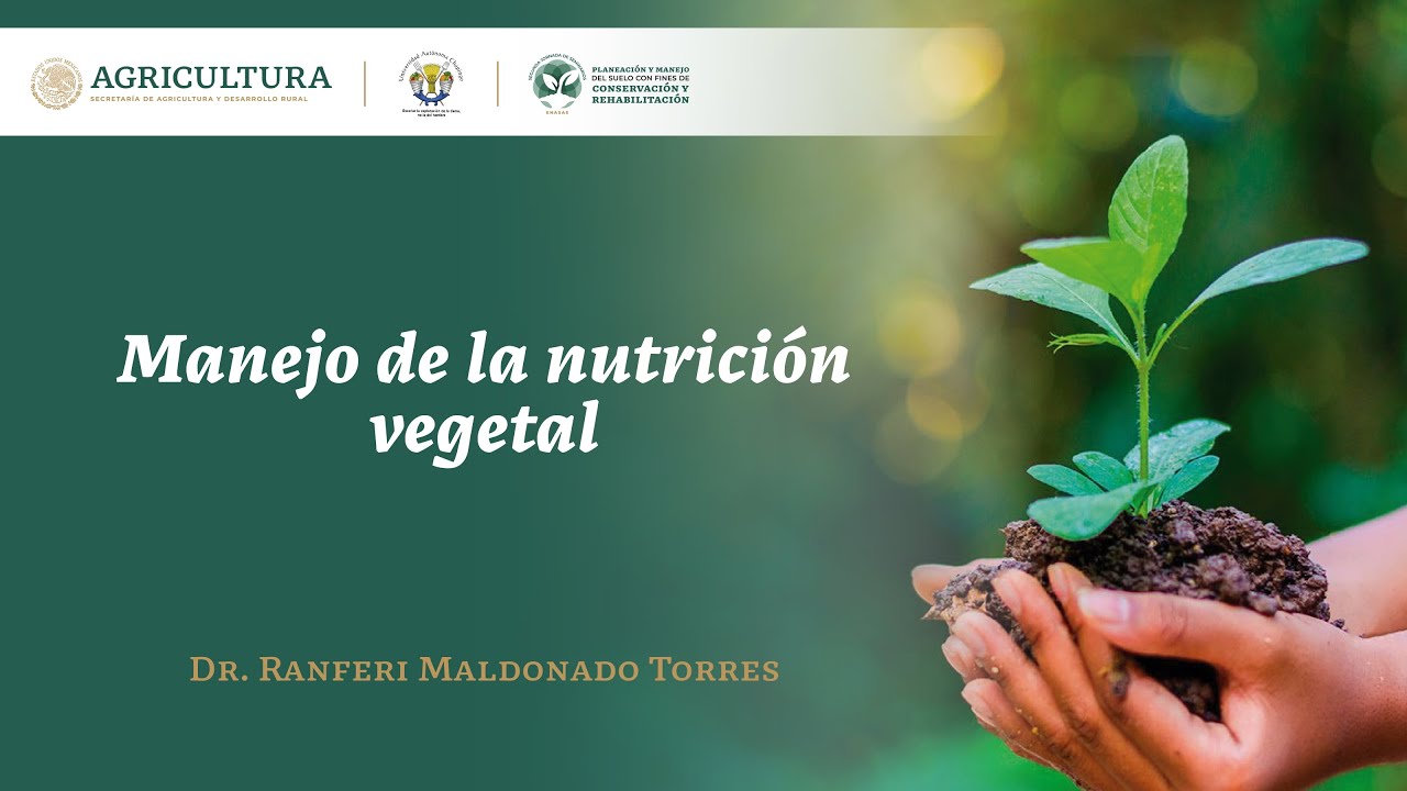 Seminario 17: 