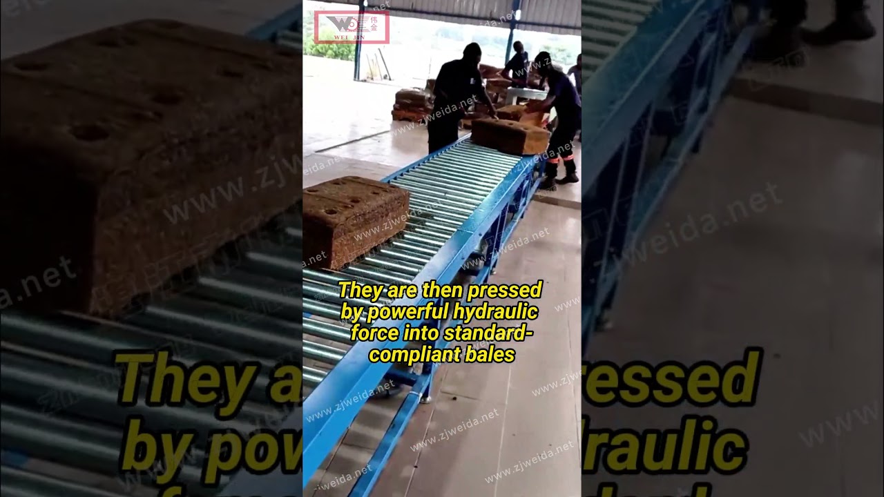 TSR Rubber Baling Machine | Automatic Hydraulic Press | Natural Rubber Packaging.