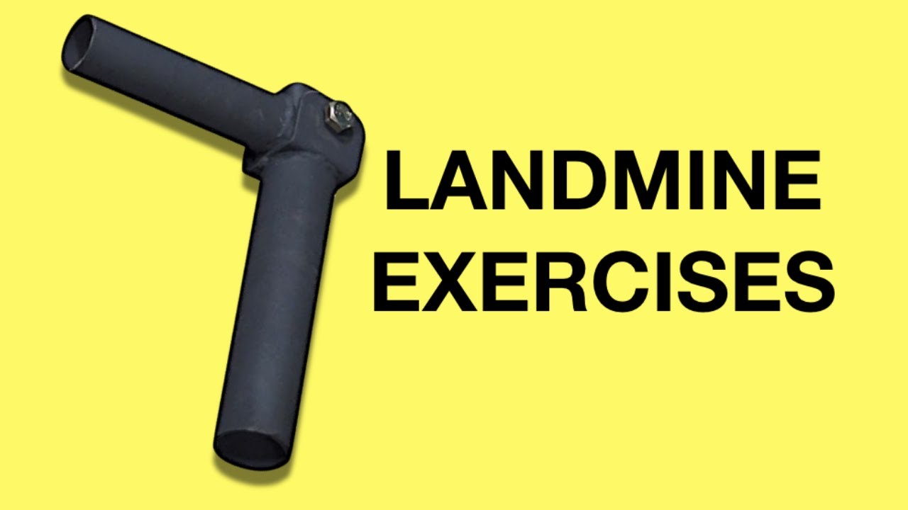 Landmine Attachment Exercises (Workout for Chest, Shoulders, Back, Legs, & Abs)