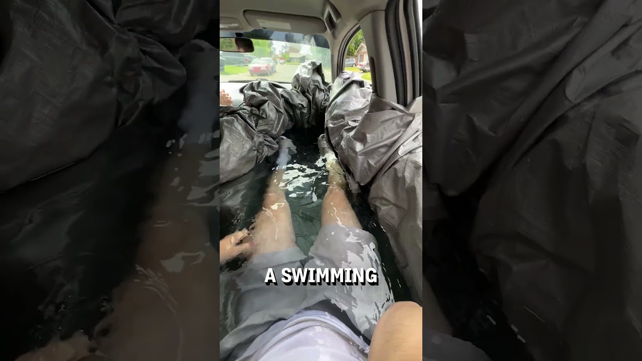 This is literally carpooling 🚗      🎥: Eduard Slobodenko