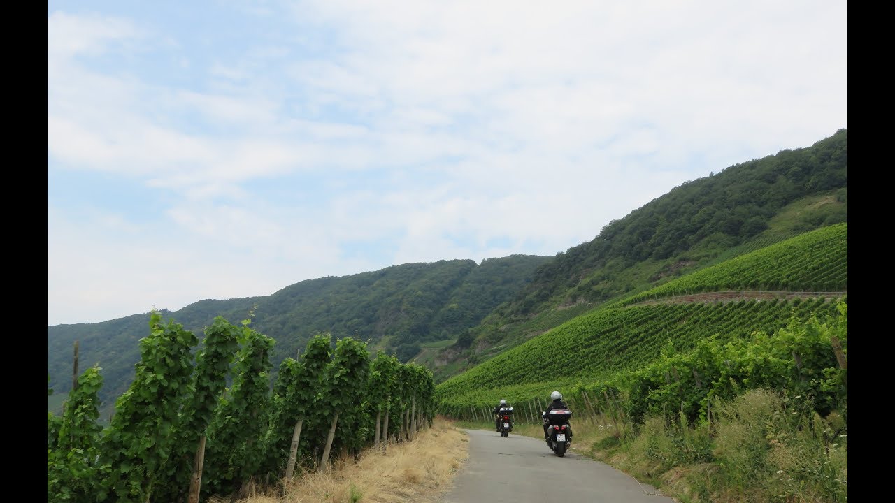 Motorrollertour : Die Mosel - Deutschlands weinseliger Fluss