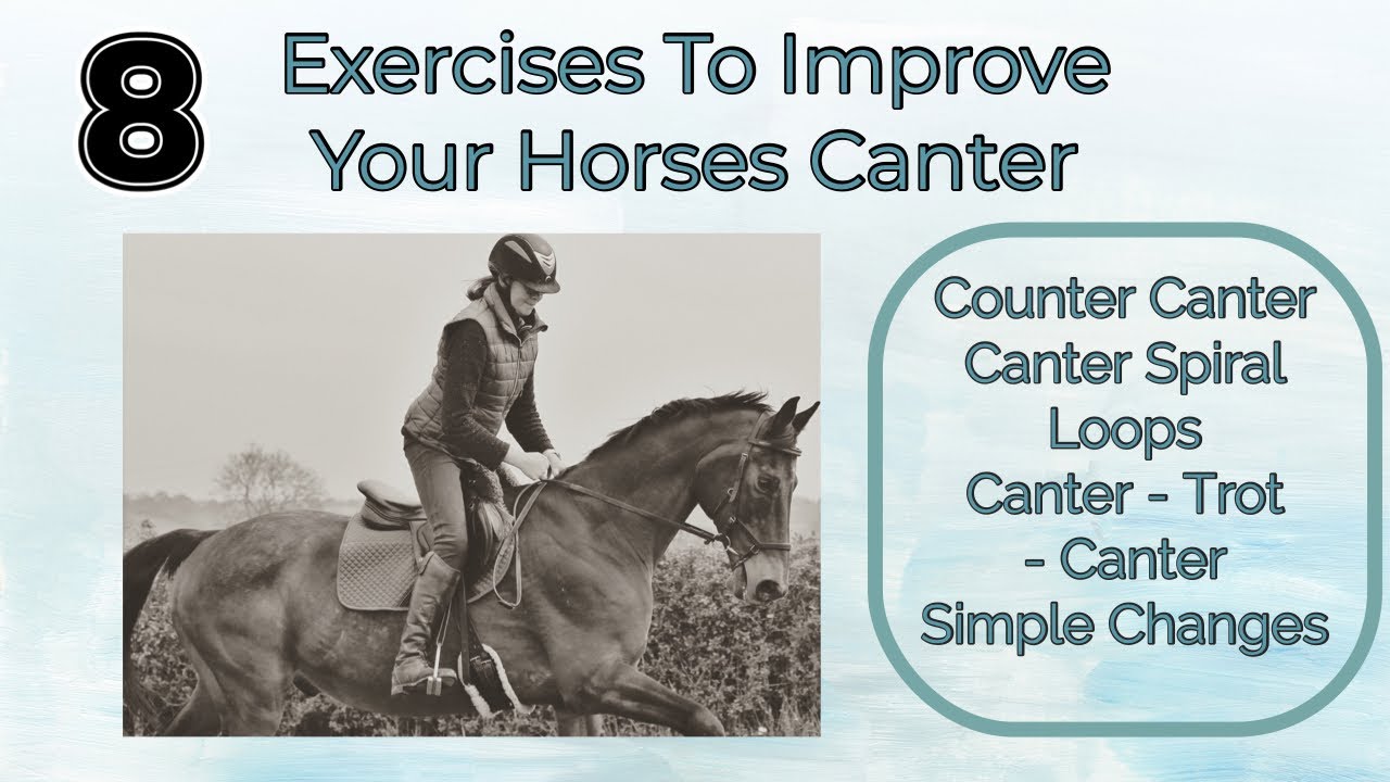 EXERCISES TO HELP IMPROVE YOUR HORSES QUALITY OF CANTER| Equestrian Training
