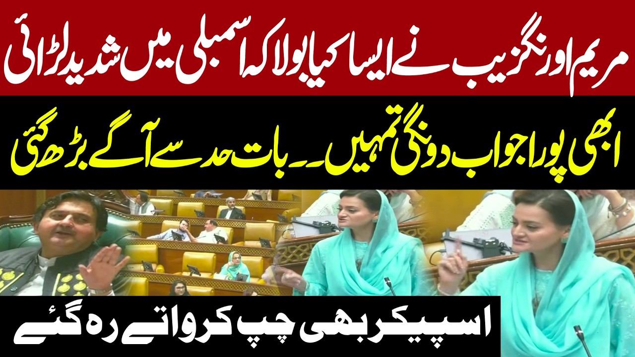 Heavy Fight In Punjab Assembly | PMLN vs PTI | Maryam Aurangzeb's Blasting Speech In Punjab Assembly