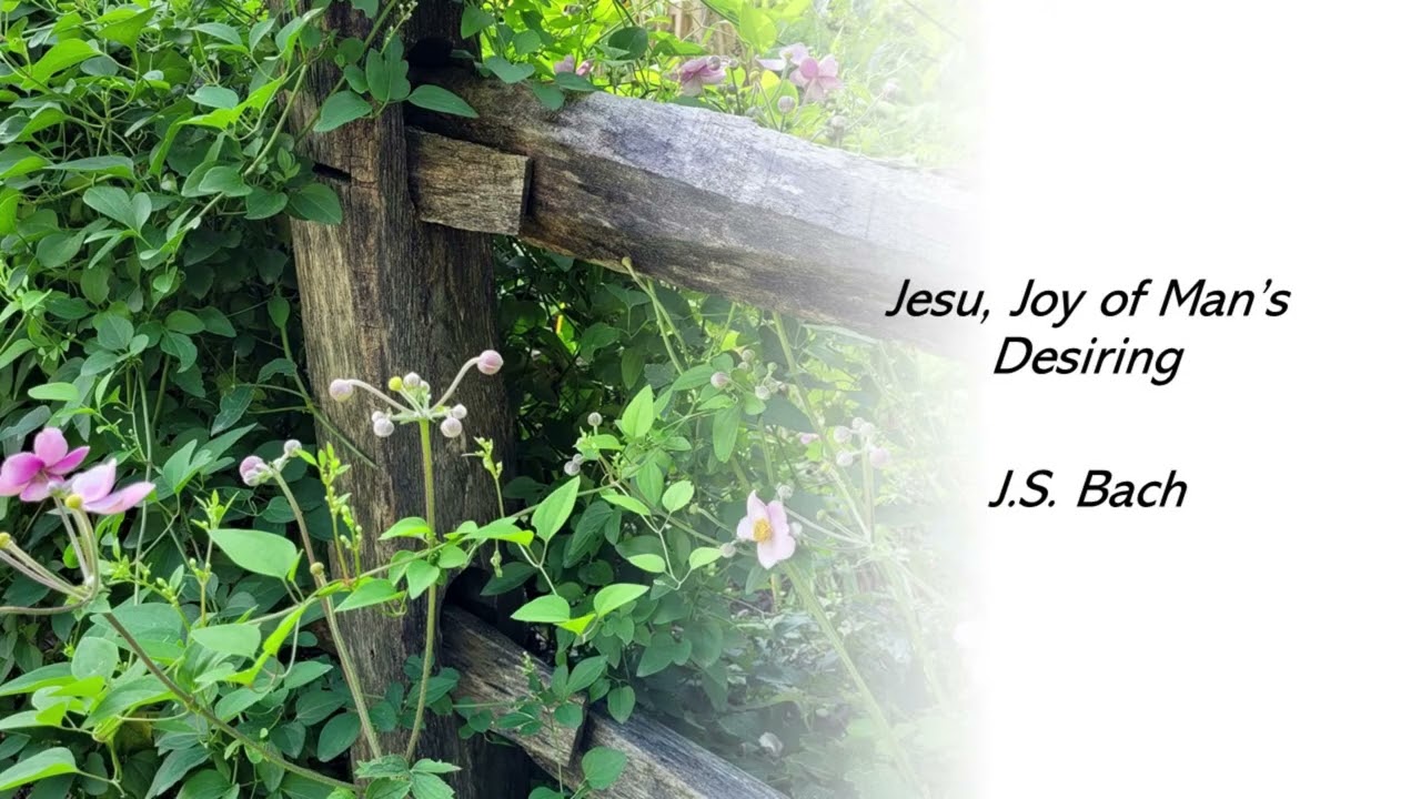 Jesu, Joy of Man's Desiring