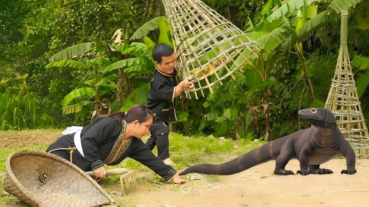 Protecting the chicks from the dragon's attack KOMODO - Gardening, the life of a dwarf