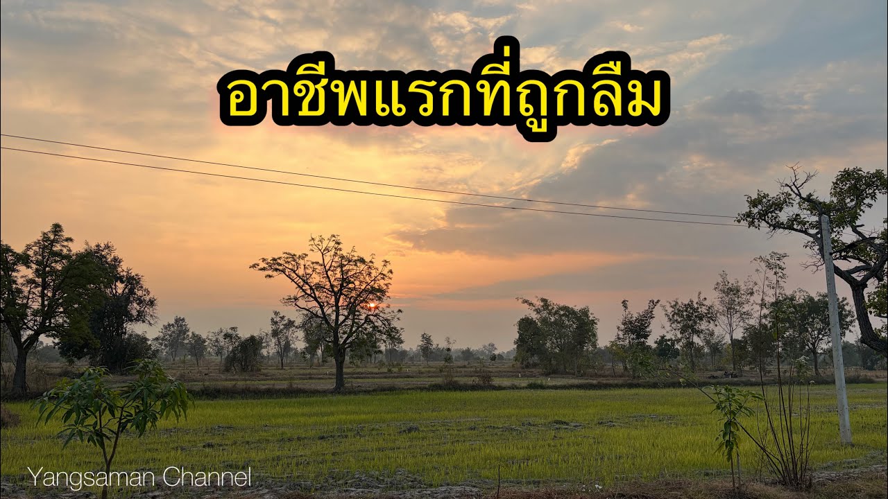 อาชีพแรกที่ถูกลืม