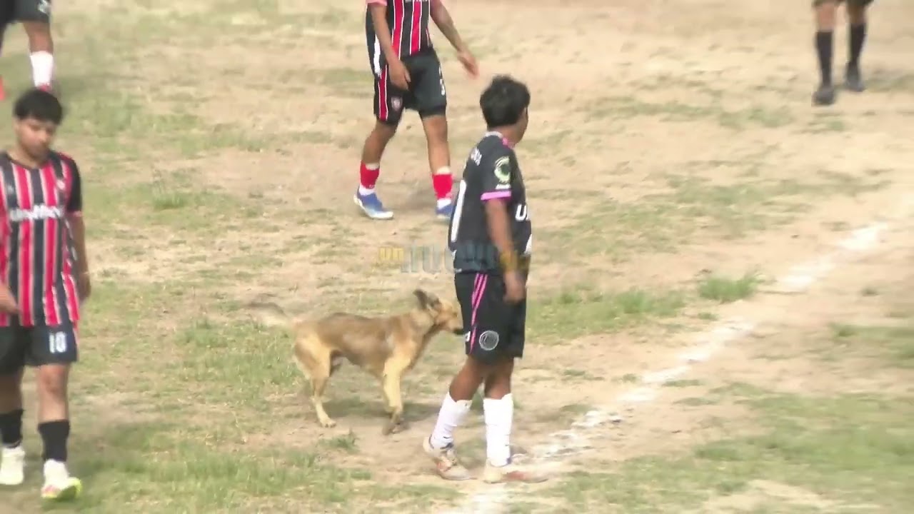 SEMIFINALES DE LA A.D.S.C.C - CAFAYATE
