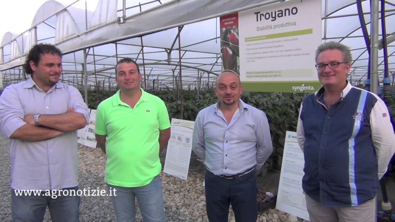 Professionisti del peperone - Valcacer
