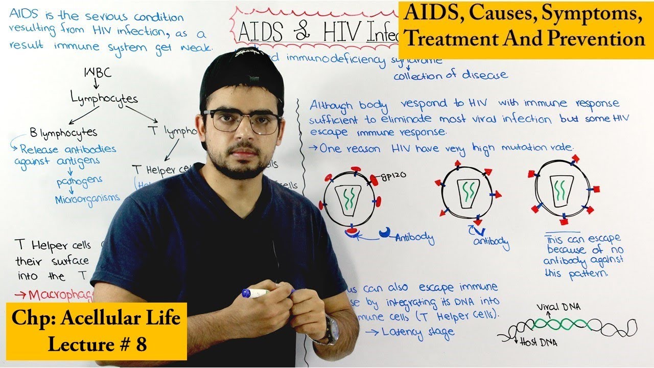 AIDS and HIV infection  (Detailed lecture)