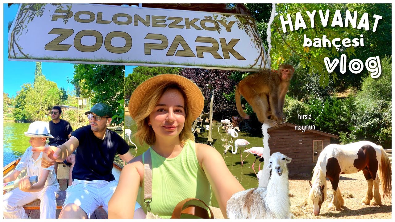 HAYVANAT BAHÇESİ VLOG I POLONEZKÖY I HAYVANLAR I LEMUR, RAKUN, TİMSAH, LAMA