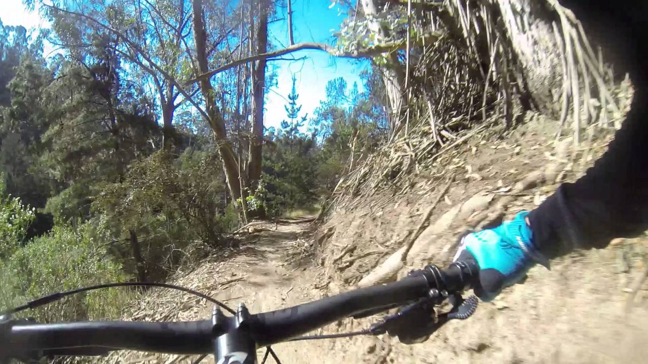 mach 429 trail