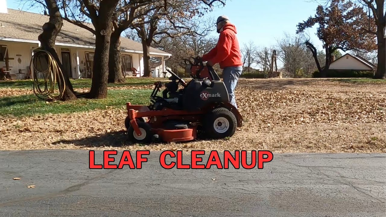 leaf cleanup