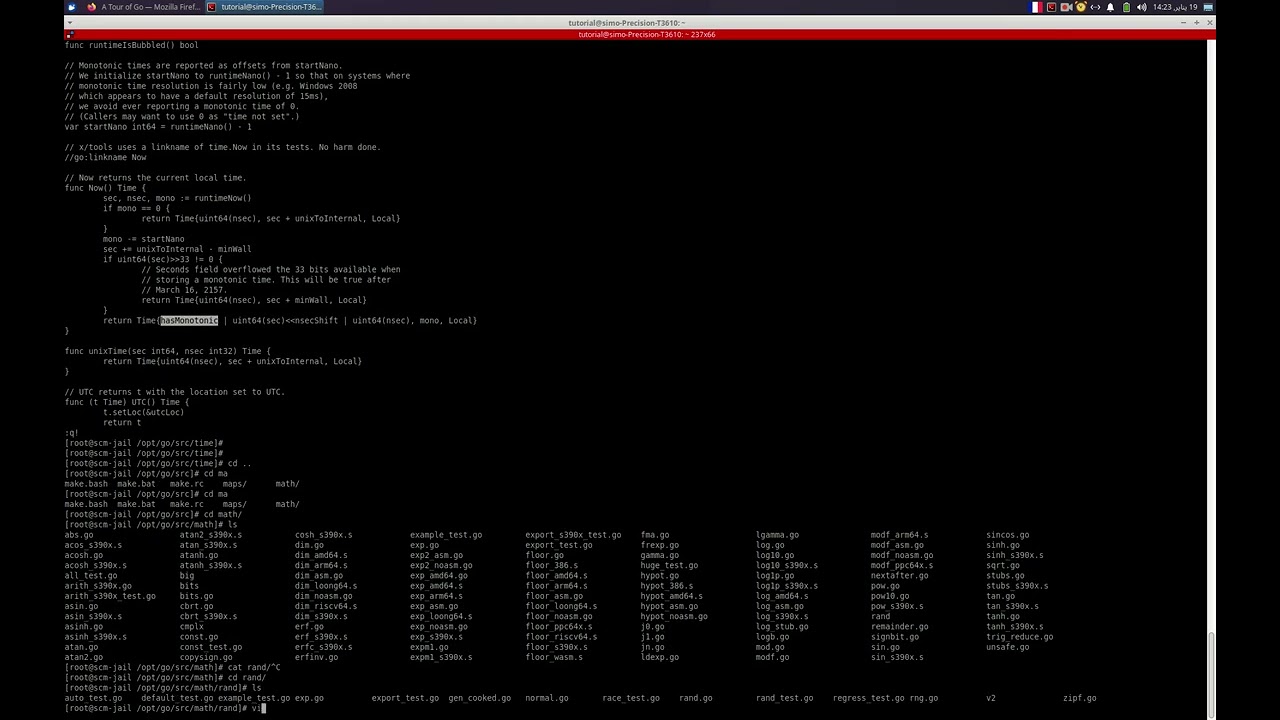 جولة حول لغة غو على فري بسد Golang Tour on FreeBSD
