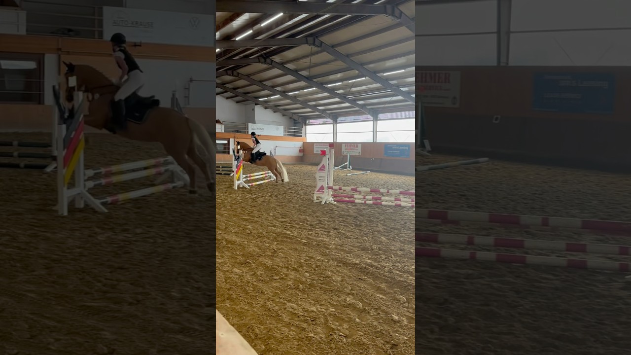 Tuniervlog 