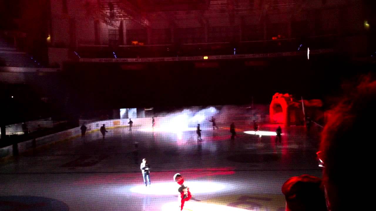Hannover Scorpions vs. Adler Mannheim 18.11.11 - Einlauf